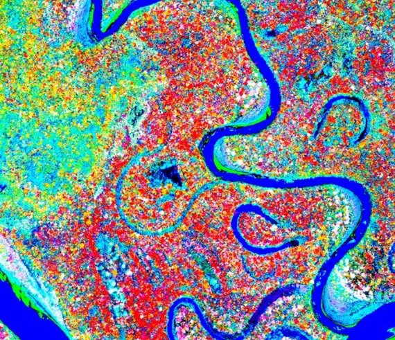 Landscape biogeochemistry reflected in shifting distributions of chemical traits in the Amazon forest canopy. Image from the Institution’s Carnegie Airborne Observatory. special_carnegiescience_feature.jpg
