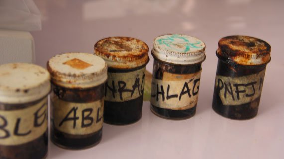 Amujoyegbe Olayinka has been collecting indigenous plant samples to identify compounds effective in treating sickle cell anemia disease. (Photo: Megan Lindow) 570_A_Tapping-Indigenous-Knowledge-of-Plants-to-Treat-Sickle-Cell-Anemia.jpg
