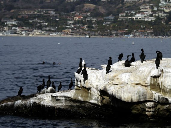 Photo: Glenn Koenig / Getty Cushman Feature 570.jpg